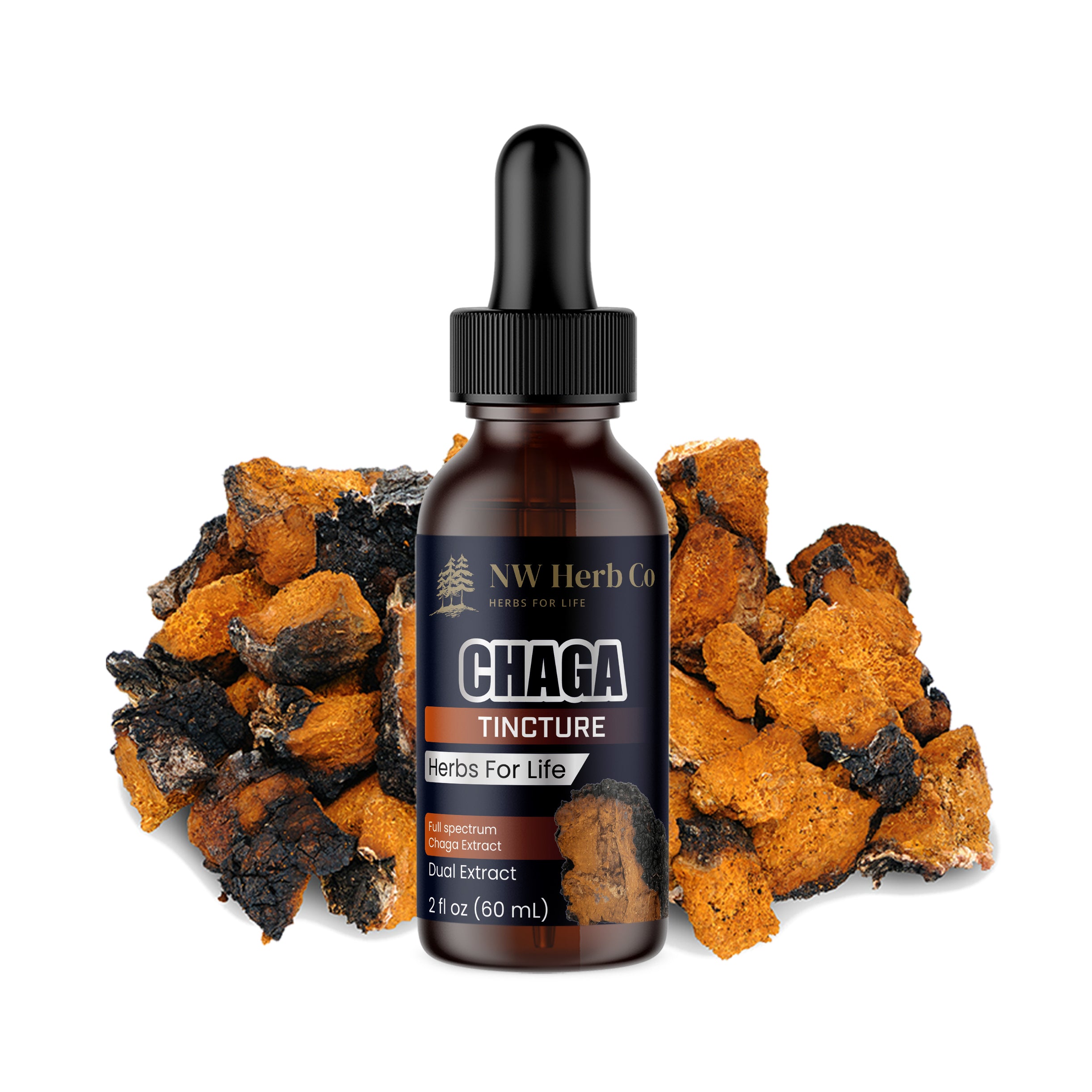 The Power of Chaga: Nature’s Most Potent Medicinal Mushroom