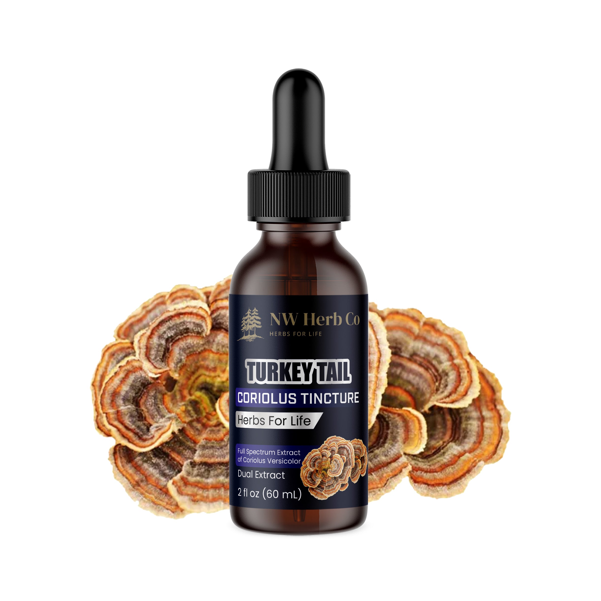 The Health Benefits of Turkey Tail Mushroom