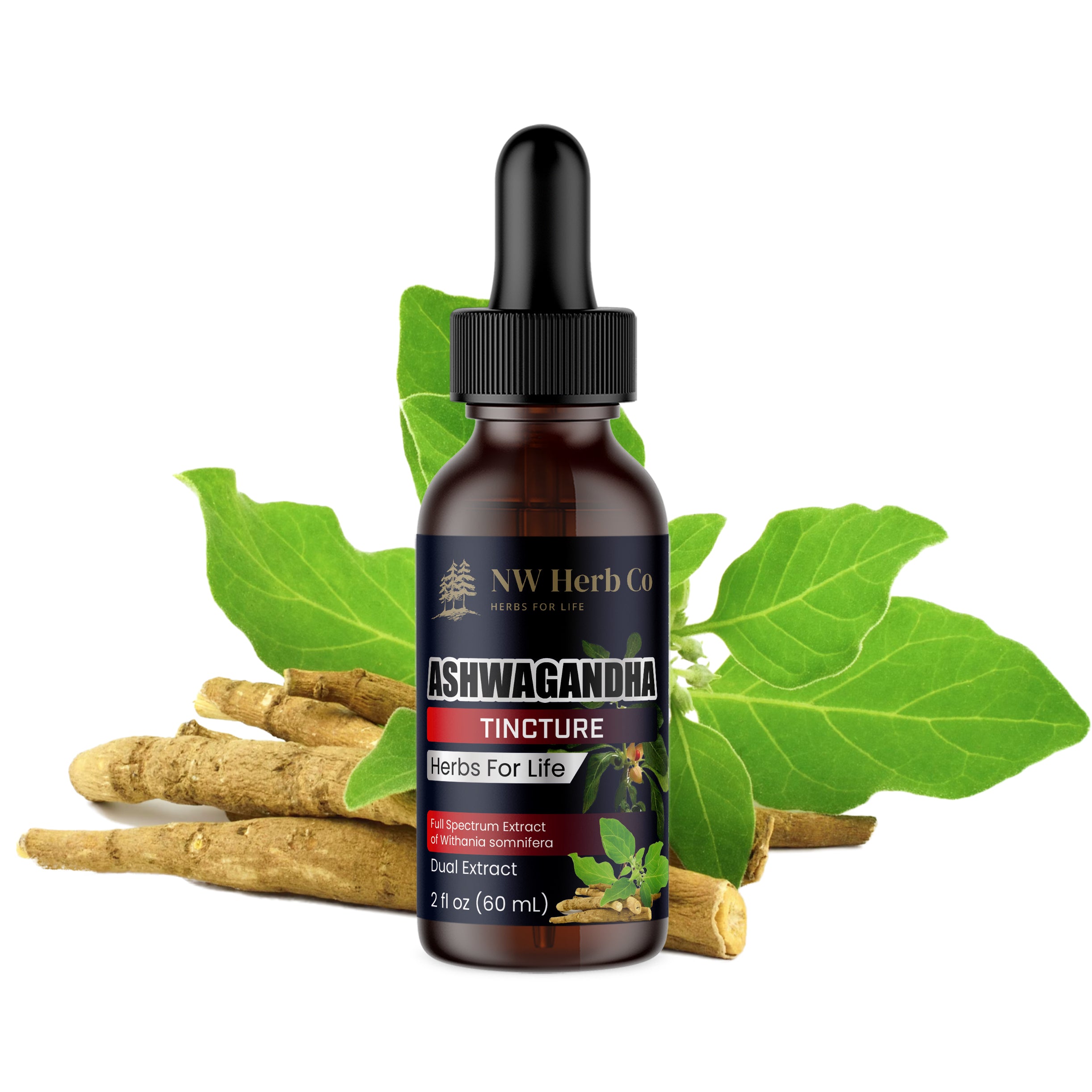 NW Herb Co. Premium Ashwagandha Tincture: Bioavailable Adaptogen for Stress Relief, Energy & Immunity