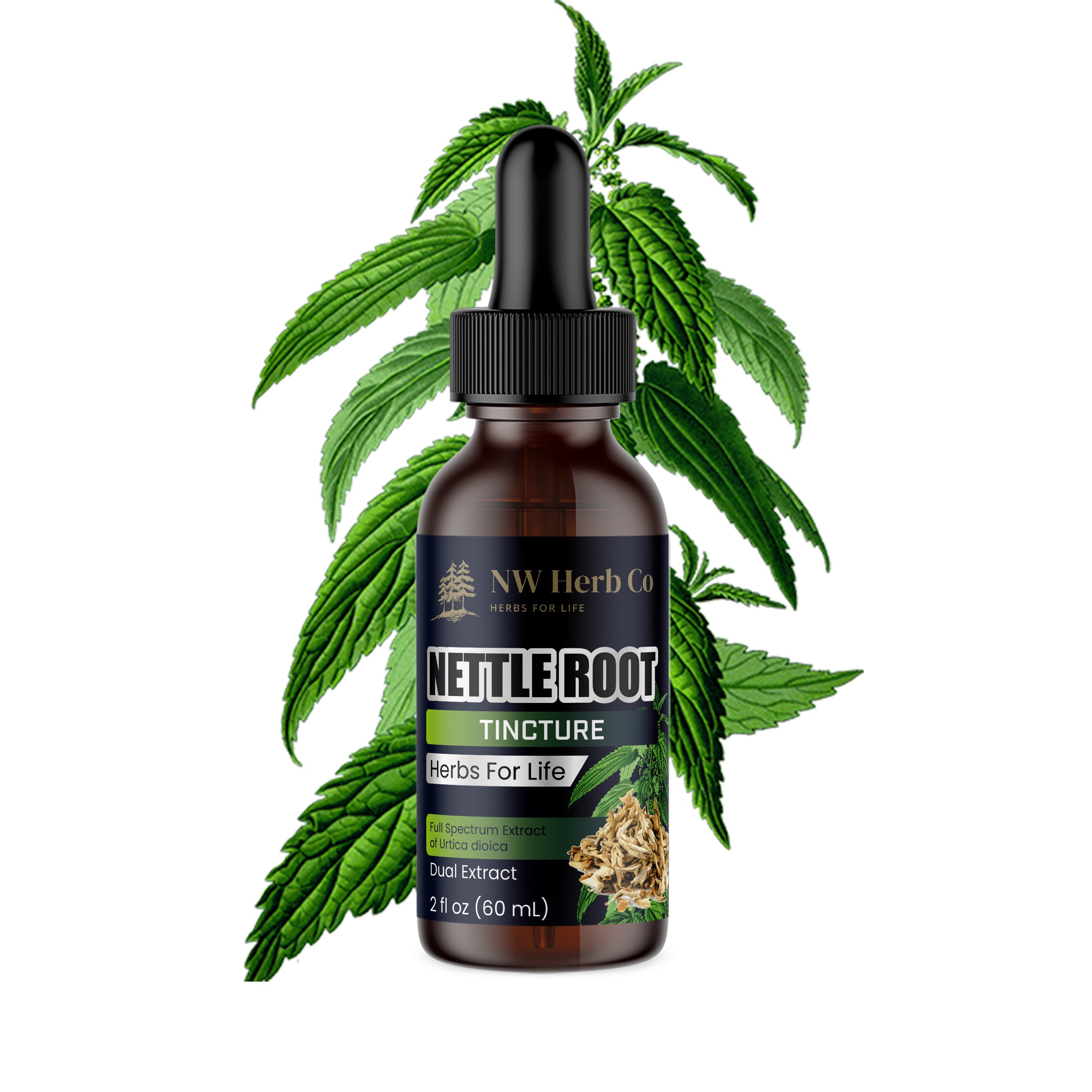 NW Herb Co. Nettle Root Tincture: Health & Vitality Elixir