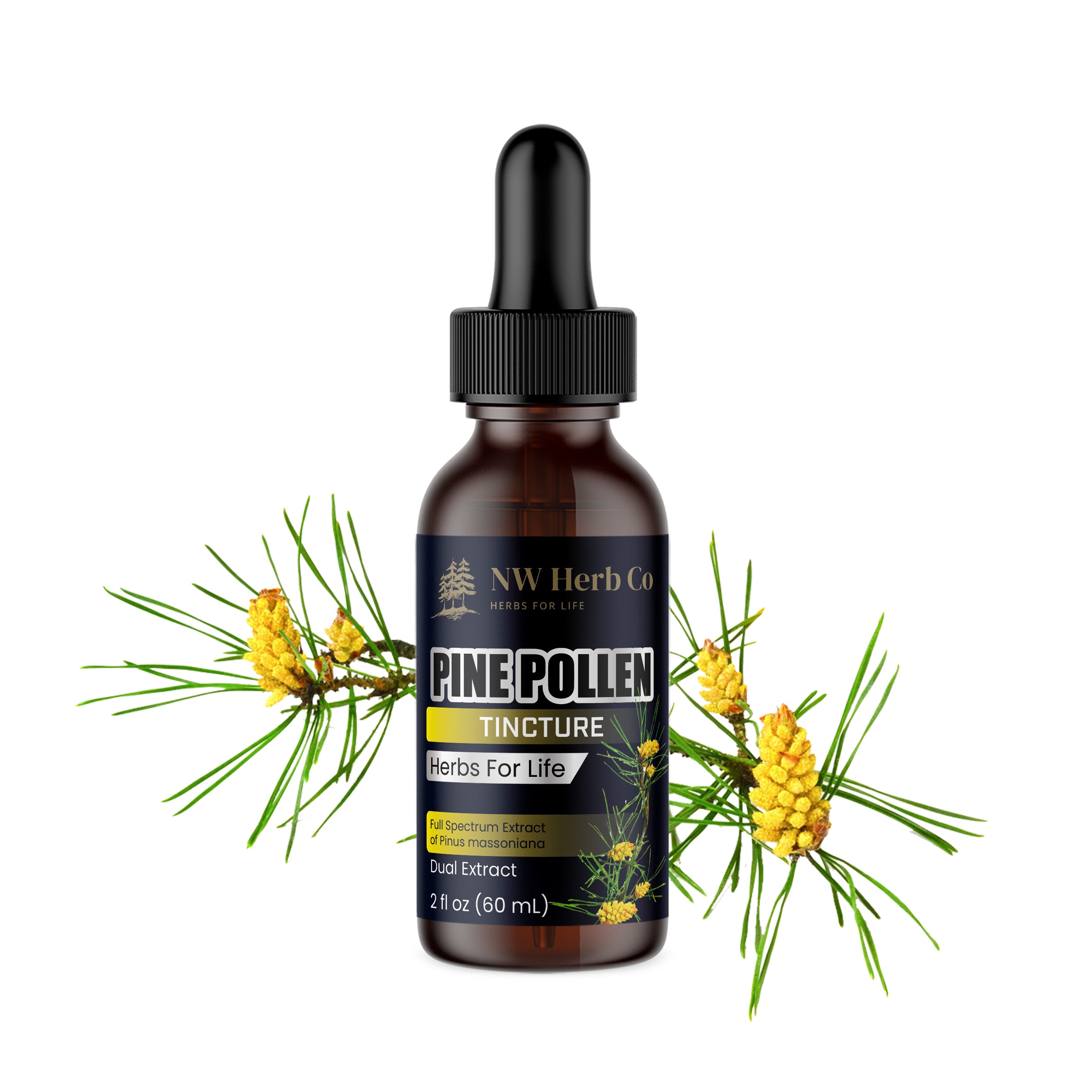 Amber glass bottle of Premium Pine Pollen Tincture by NW Herb Co, a natural supplement known for its potential health benefits and vitality support