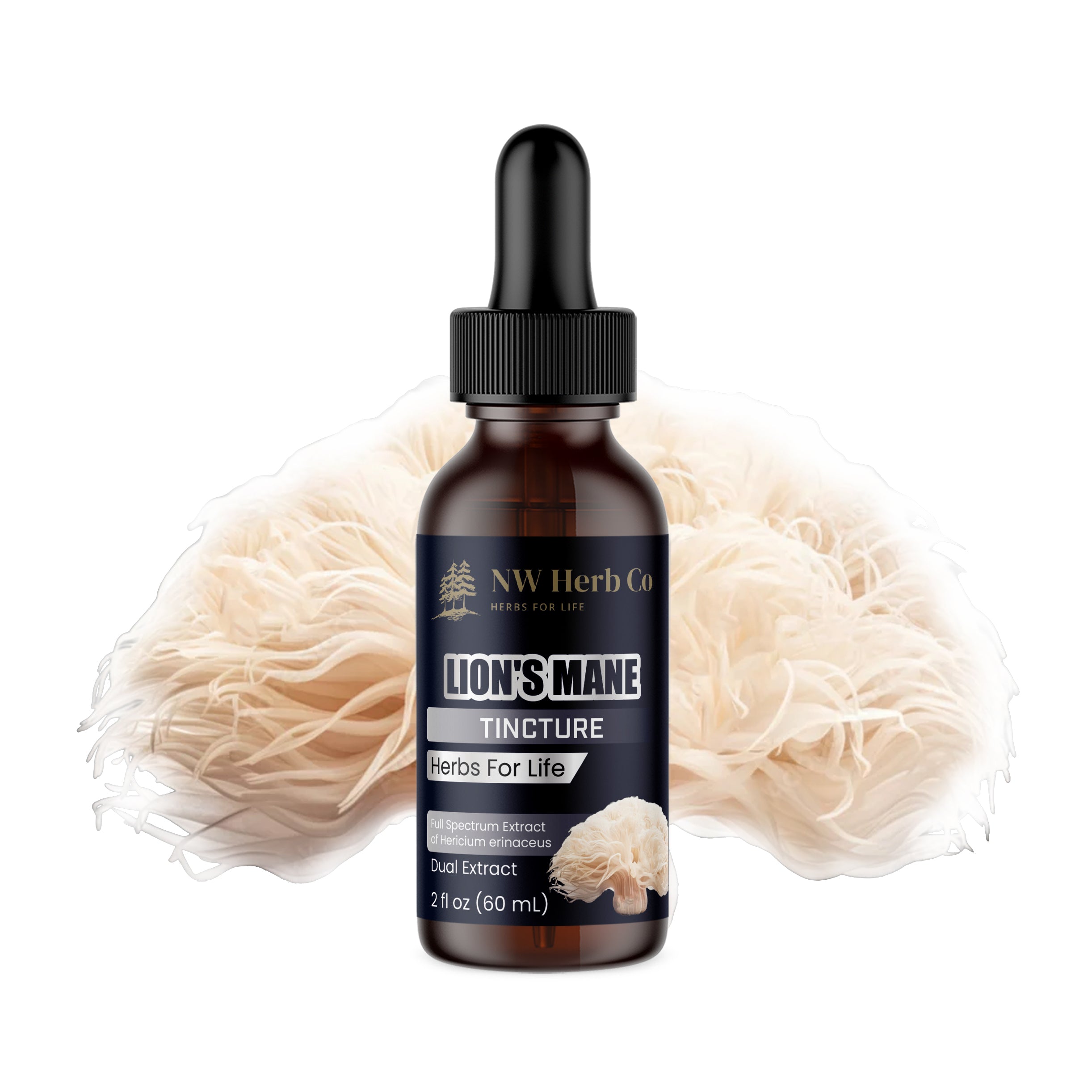 Revitalize Your Mind with NW Herb Co's Lion's Mane Tincture - A Brain-Boosting Elixir