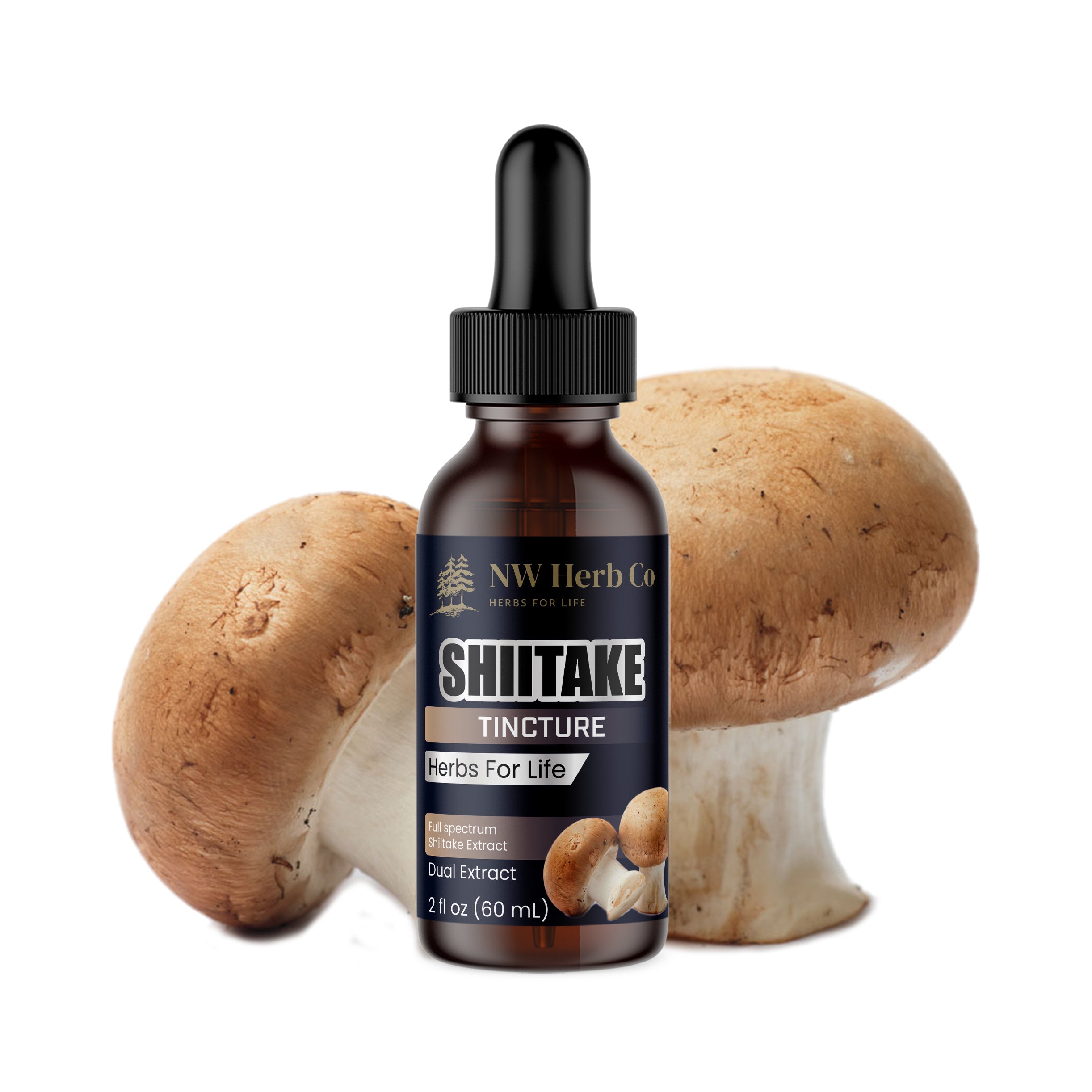 NW Herb Co. Premium Shiitake Mushroom Tincture: Extract for Immune Boost, Energy